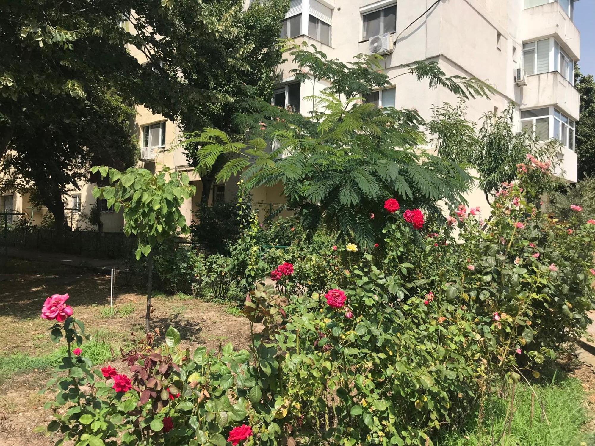 Apartament Langa Plaja Diana 만갈리아 외부 사진