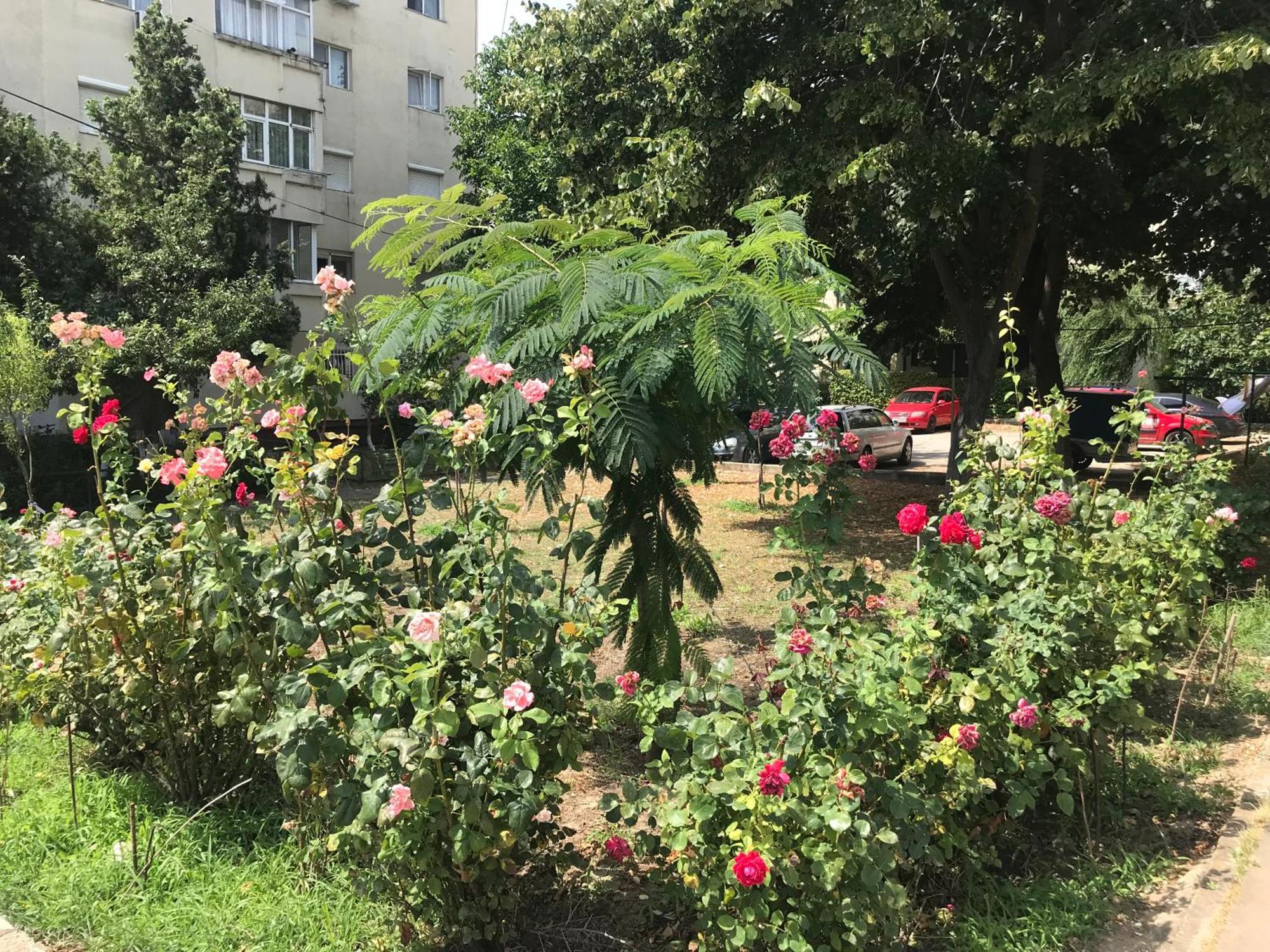 Apartament Langa Plaja Diana 만갈리아 외부 사진
