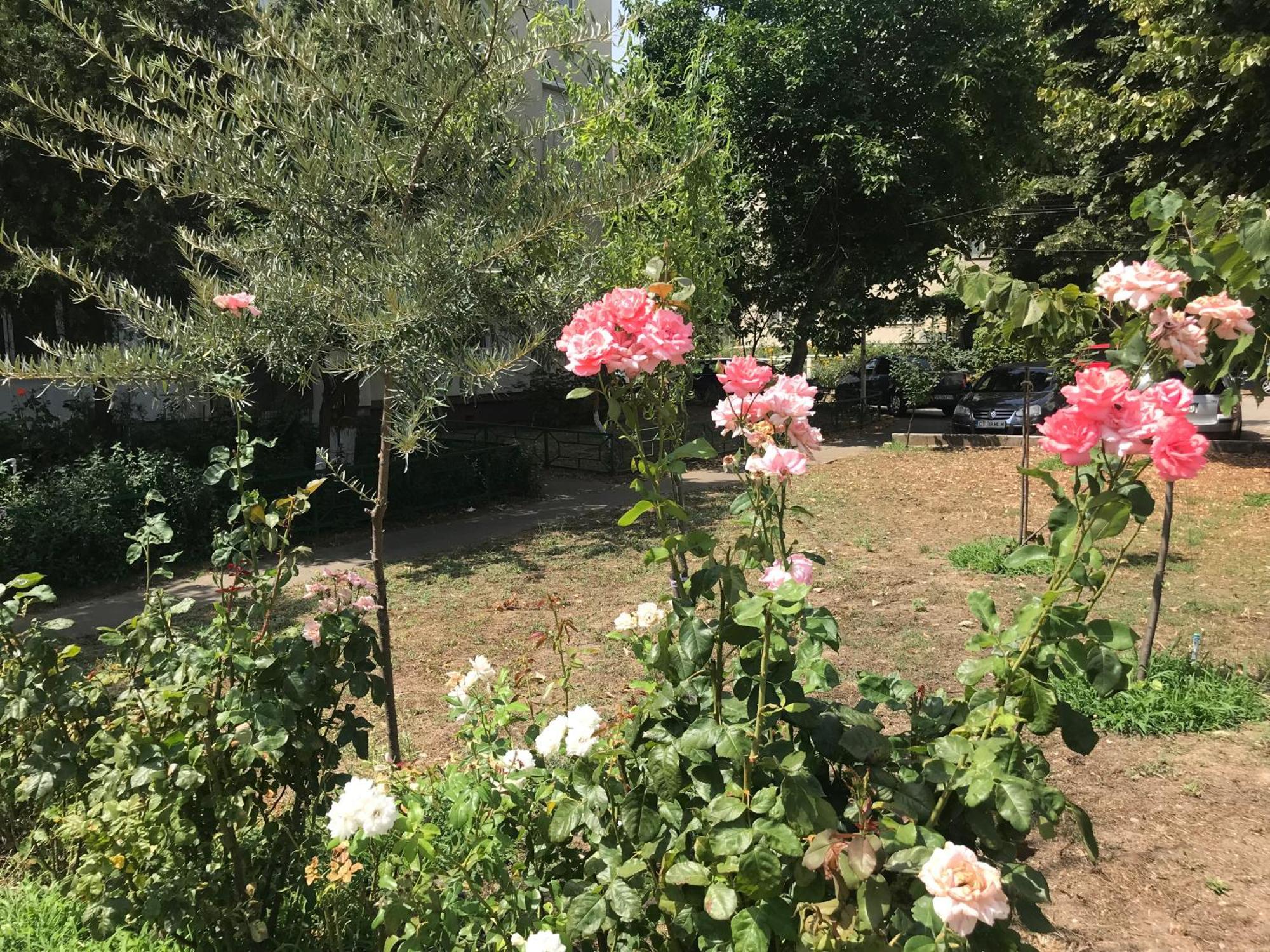 Apartament Langa Plaja Diana 만갈리아 외부 사진